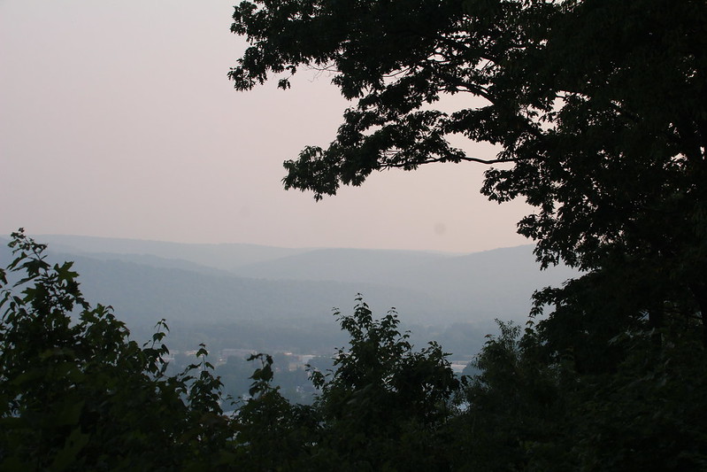 Wildfires