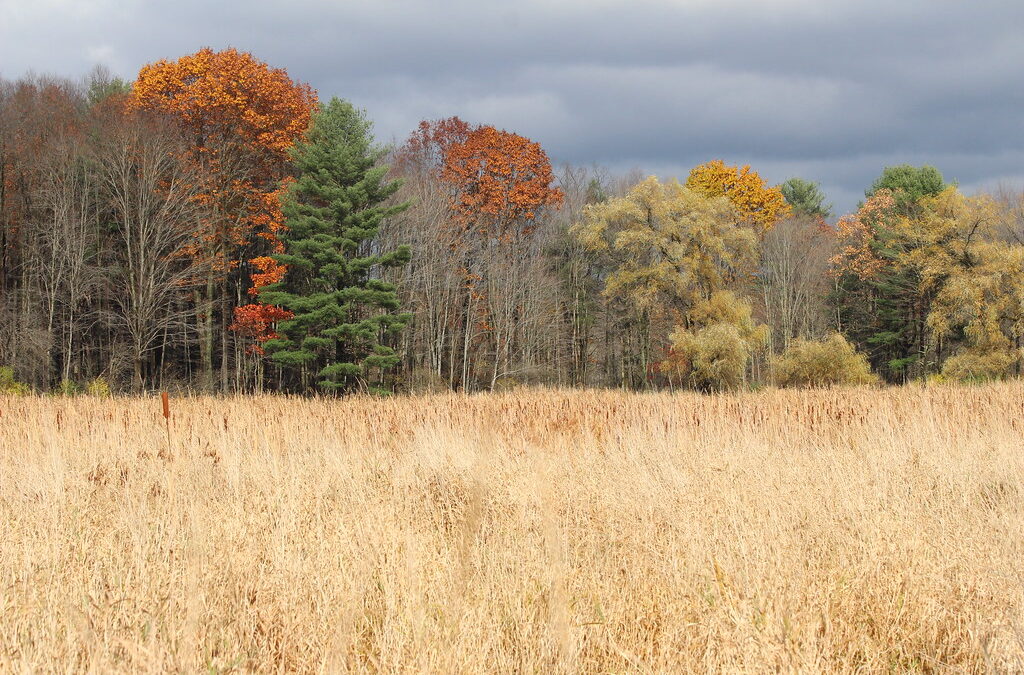 Fall is a Devouring Beast