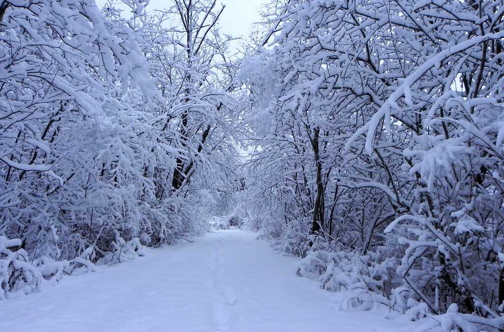 The Importance of Getting Outside for Emotional and Mental Health, Even in the Cold