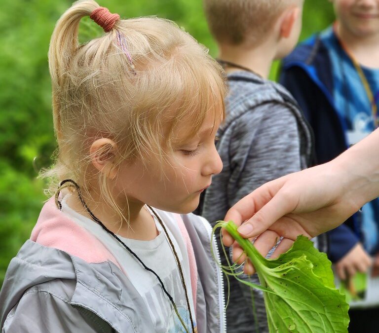 smelling skunk cabbage
